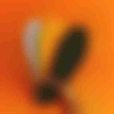 Branțuri ortopedice cu puncte de masaj | STEPEASE