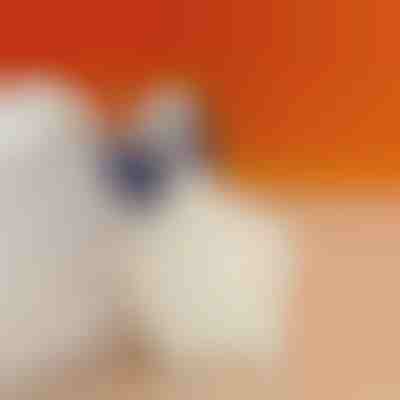 Talonetă pentru reducerea durerii de călcâi | STEPHEEL